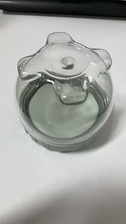 POP BEAN DIY jar placement